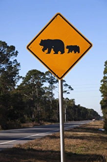 Road Sign Prints: USA, Florida, Florida Panhandle, Carrabelle, bear crossing sign, Rt. 98