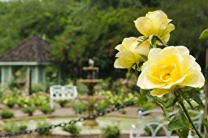 Images Dated 1st June 2011: USA, Florida. Harry P. Leu Gardens Orlando, Florida