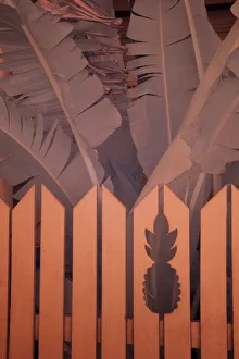 Infrared Prints: USA, Florida, Key West. Picket fence with pineapples carved in it, Key West, Florida