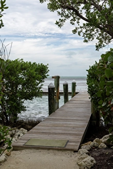 Bush Prints: USA, Florida, Little Palm Island. (Editorial Use Only)