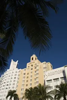 Art Deco Prints: USA, Florida, Miami Beach: South Beach Art Deco Hotels, Delano, National, & Sagamore