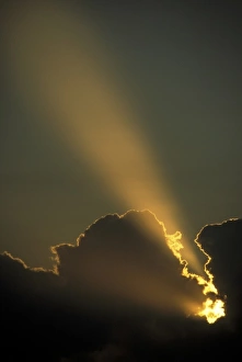 Miami Prints: USA, Florida, Miami. Sunbeam