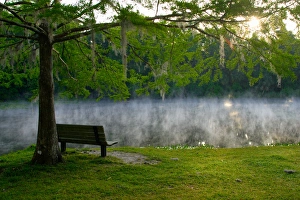 Images Dated 17th April 2005: USA, Florida, Ocala National Forest, Alexander Springs Recreational Area, Overlooking