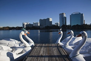 Central Florida Prints: USA, Florida, Orlando, Lake Eola, swanboats