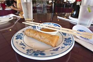 Images Dated 1st June 2011: USA, Florida. Pho 88 Vietnamese Restaurant, Orlando, Florida
