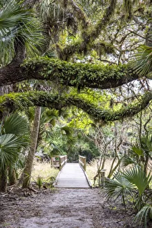 Images Dated 21st June 2021: USA, Florida, Sarasota, Myakka River State Park