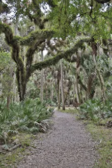 Images Dated 21st June 2021: USA, Florida, Sarasota, Myakka River State Park