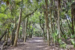 USA, Florida, Sarasota, Myakka River State Park
