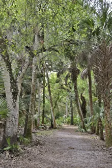 USA, Florida, Sarasota, Myakka River State Park