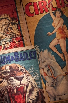 Images Dated 31st December 2009: USA, Florida, Sarasota, Ringling Museum, Circus Museum, Circus poster