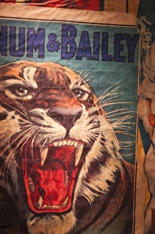 Images Dated 31st December 2009: USA, Florida, Sarasota, Ringling Museum, Circus Museum, Circus poster