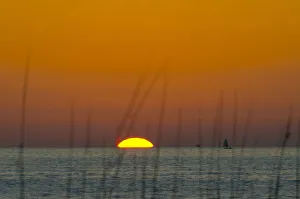 Crescent Beach Prints: USA, Florida, Sarasota, Siesta Key, Orange Sunset