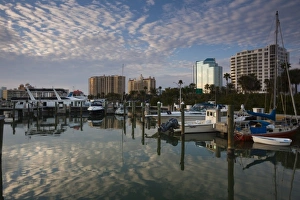 Images Dated 31st December 2009: USA, Florida, Sarasota, skyline from Bay Front Park, dusk