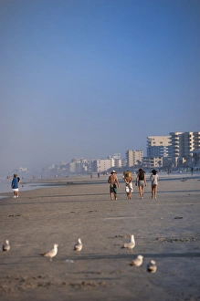 Condominium Prints: USA, Florida, South Beach