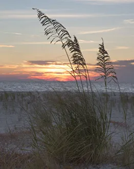 Deborah Winchester Prints: USA, Fort De Soto Park, Pinellas County, St