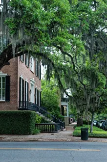 Historic District Prints: USA, GA, Savannah, Historic District Residential Street