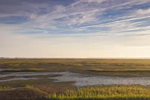 East Coast Prints: USA, Georgia, Brunswick, dawn view along the Bruswick River marshes