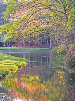 Still Prints: USA, Georgia, Callaway gardens springtime