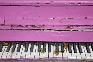 Instrument Prints: USA, Georgia, Darien. Old weathered pink piano. (PR)