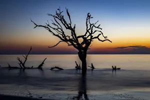 Images Dated 21st June 2021: USA, Georgia, Jekyll Island, Sunrise on Driftwood Beach of petrified trees