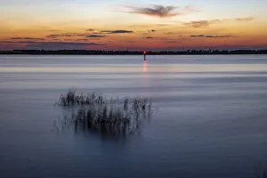 Images Dated 21st June 2021: USA, Georgia, Jekyll Island, Sunset at Driftwood Beach and the petrified trees