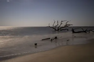 Images Dated 21st June 2021: USA, Georgia, Jekyll Island, Sunset at Driftwood Beach and the petrified trees