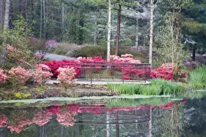 Images Dated 29th March 2007: USA, Georgia, Pine Mountain. Viewing area by lake surrounded by azaleas