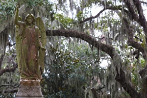 USA, Georgia, Savannah, Bonaventure Cemetery