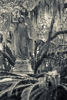 Images Dated 31st October 2013: USA, Georgia, Savannah, Bonaventure Cemetery