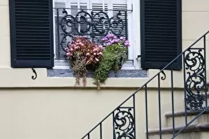 USA, Georgia, Savannah. Flowers on window ledge of home in the historical districe of Savannah