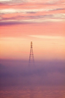 Images Dated 19th January 2010: USA, Georgia, Savannah, Fog at dawn along the Savannah River