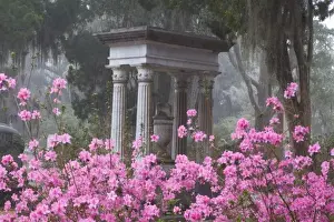 Images Dated 15th March 2009: USA, Georgia, Savannah, Monument in Historic Bonaventure Cemetery
