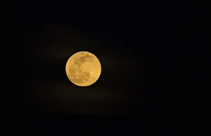 Rising Prints: USA, Georgia, Savannah. Full moon rising