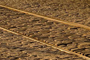 Images Dated 19th January 2022: USA, Georgia, Savannah. Old railroad tracks along cobblestone at River Street