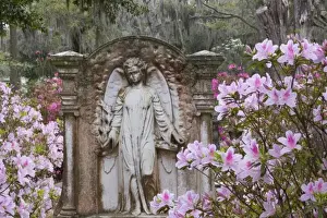 Images Dated 28th March 2009: USA, Georgia, Savannah, Spring at Historic Bonaventure Cemetery