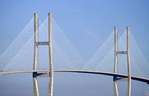 Images Dated 19th January 2022: USA, Georgia, Savannah. Talmadge Memorial Bridge over the Savannah River