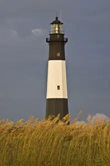 Tybee Island Prints: USA; Georgia; Tybee Island; Lighthouse and seaoats in early moring