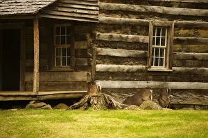 Cabin Prints: USA; Great Smoky Mountains NP; Deer grazing at a log cabin in Cades Cove