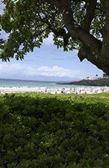 Savanah Stewart Prints: USA, Hawaii