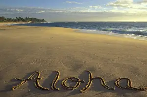Language Prints: USA, Hawaii Aloha written on Hawaiian beach Used in World