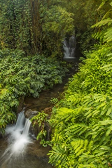 Images Dated 21st February 2013: USA, Hawaii, The Big Island, Akaka Falls State Park. Cascades in small stream. Credit as