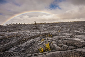 Images Dated 20th February 2013: USA, Hawaii, The Big Island, Hawaii Volcanoes National Park