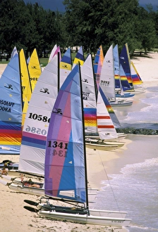 Watercraft Prints: USA, Hawaii. Catamarans on beach