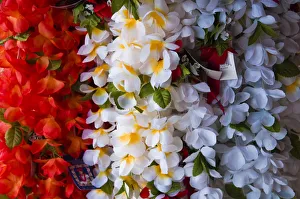 Large Group Of Objects Prints: USA, Hawaii. Colorful lei hanging at an outdoor market