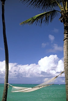 Relaxation Prints: USA, Hawaii. Hammock and palms next to the sea