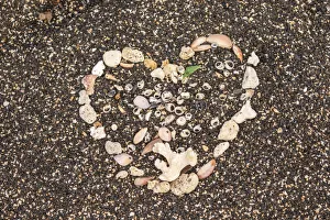 Honokohau Bay Prints: USA, Hawaii, Honokohau Bay. Beach heart made of shells