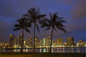 Lights Prints: USA; Hawaii; Honolulu; Palm Trees with the night lights of Honolulu