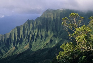 USA, Hawaii, Kaua i Island, Kokee State Park, Kalalau Valley, Na Pali Coast
