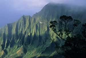 Na Pali Prints: USA, Hawaii, Kaua i Island, Kokee State Park, Kalalau Valley, Na Pali Coast
