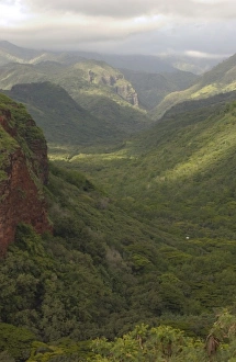 Savanah Stewart Prints: USA, Hawaii, Kauai, Canyon overlook. (RF)